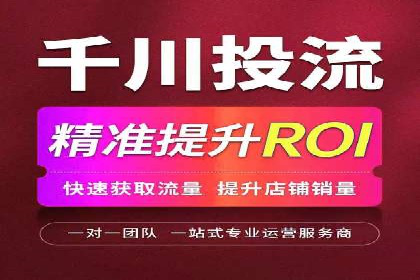 百度竞价广告投放全解析：成功案例揭秘